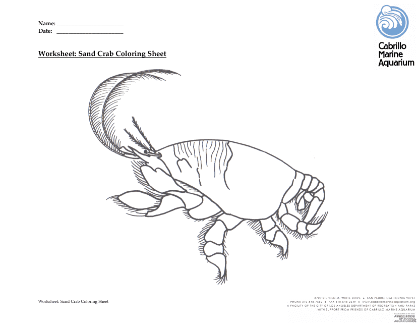 Sand Crab Coloring Sheet - Printable Activities for Kids