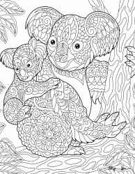 Document preview: Zentangle Pattern Coloring Page - Two Koalas