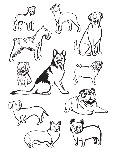 Dog Breeds Coloring Page