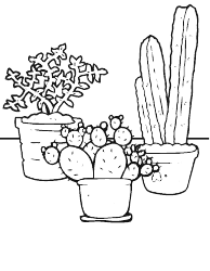 Document preview: Three Cacti Coloring Page