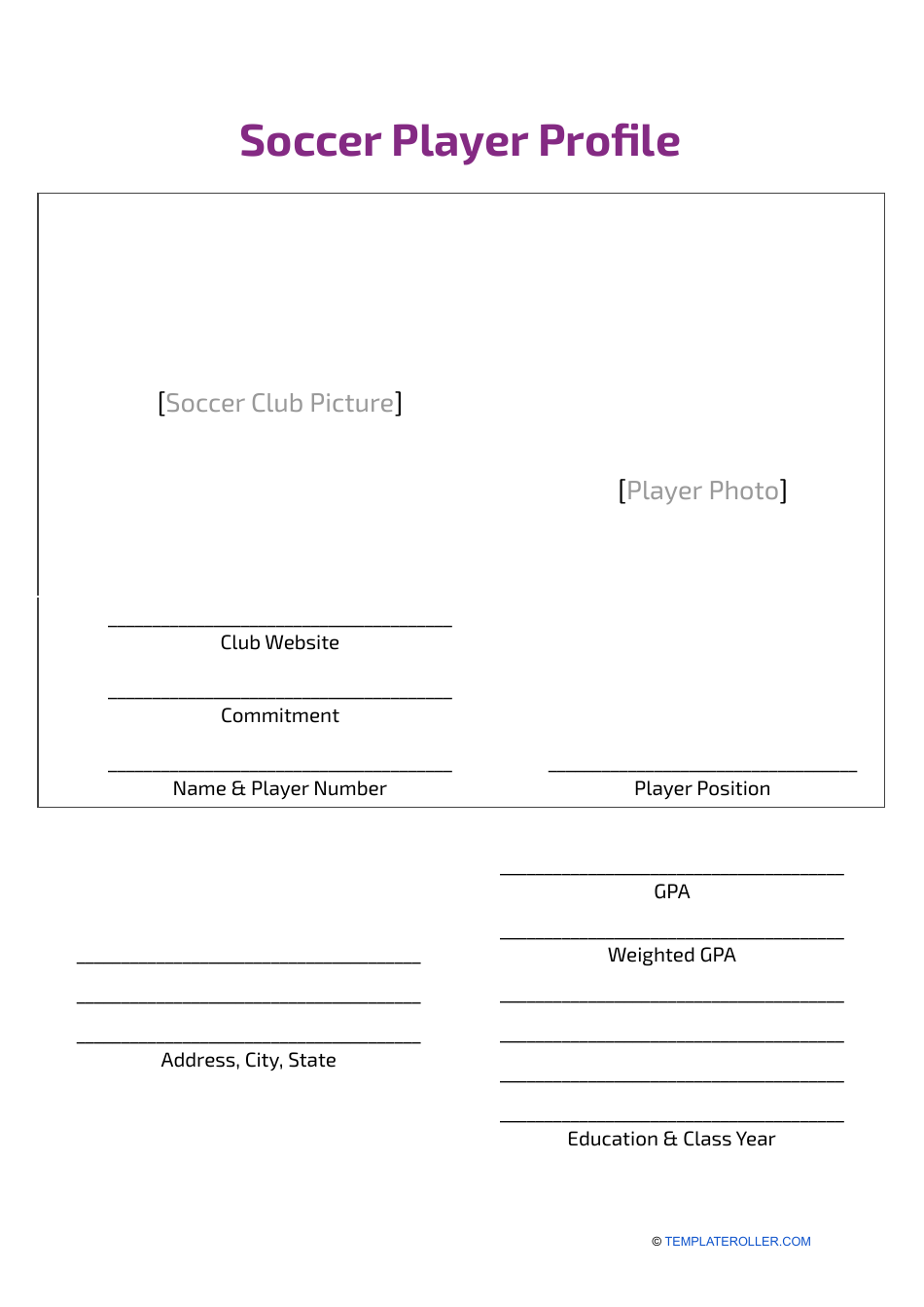 Soccer Player Profile Template Download Printable PDF Templateroller