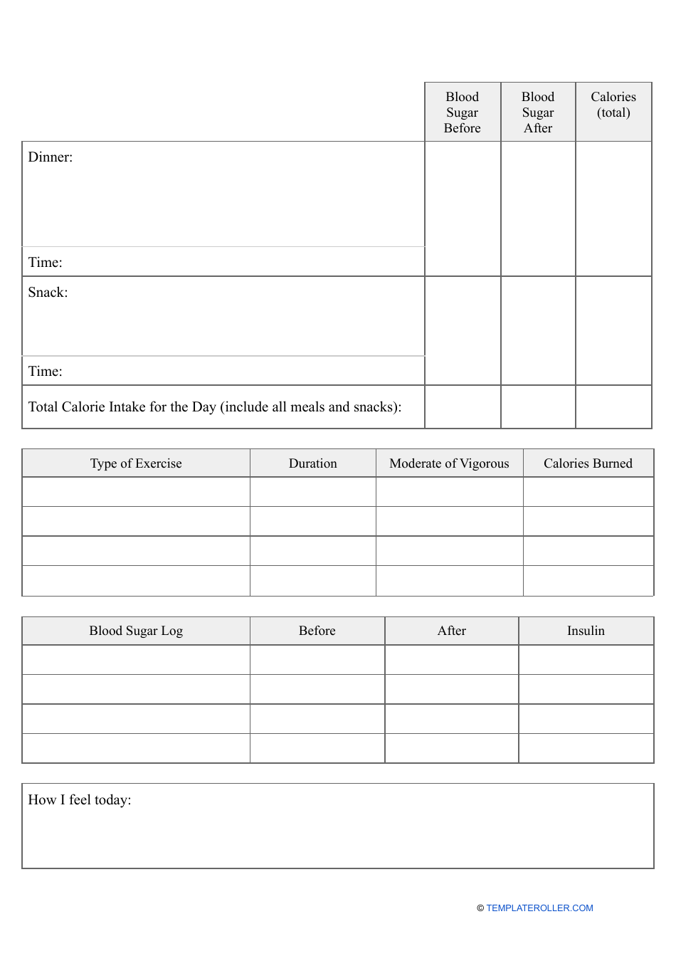 Gestational Diabetes Log Book, Page 4
