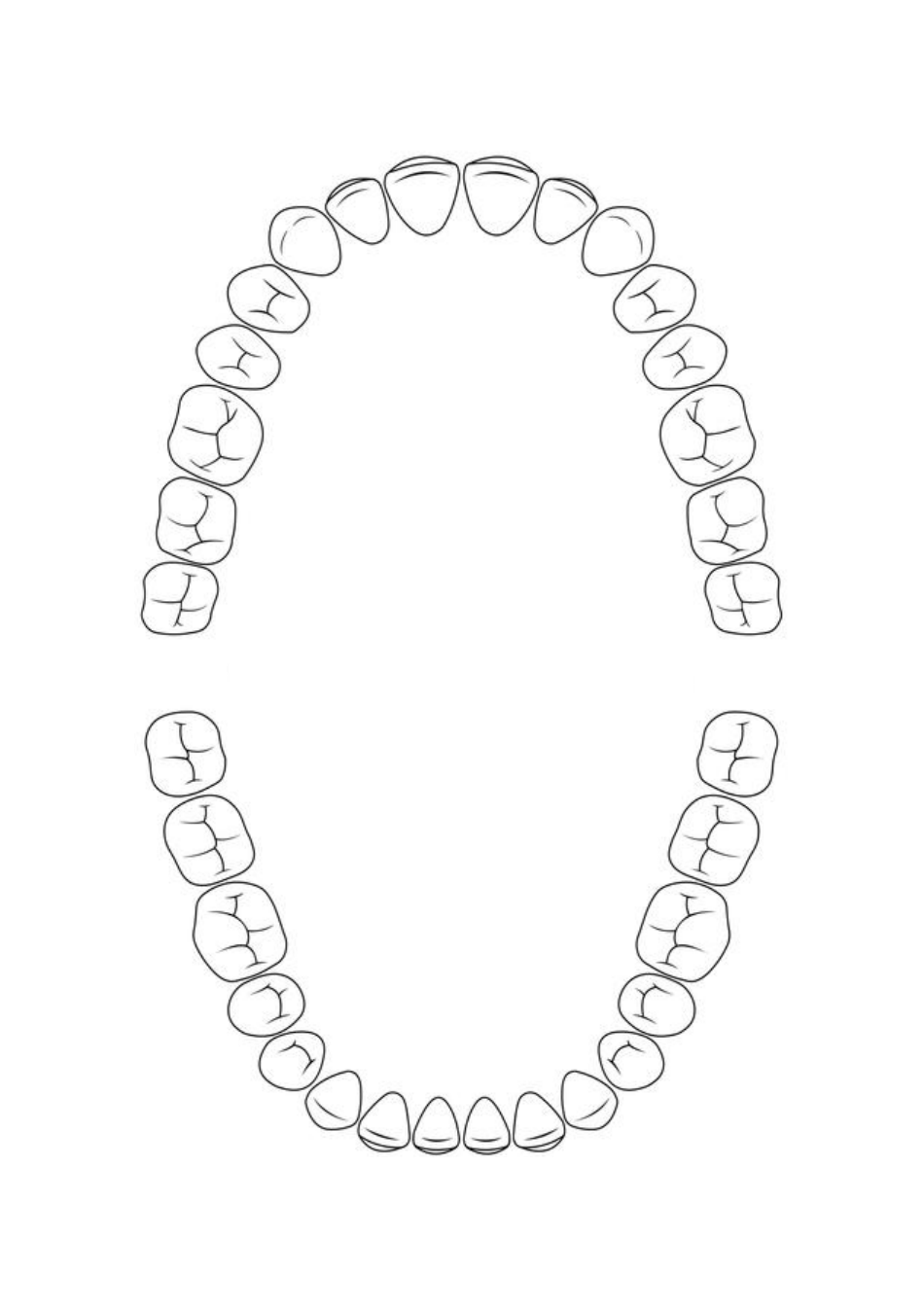 Blank Tooth Chart - Printable Dental Diagram