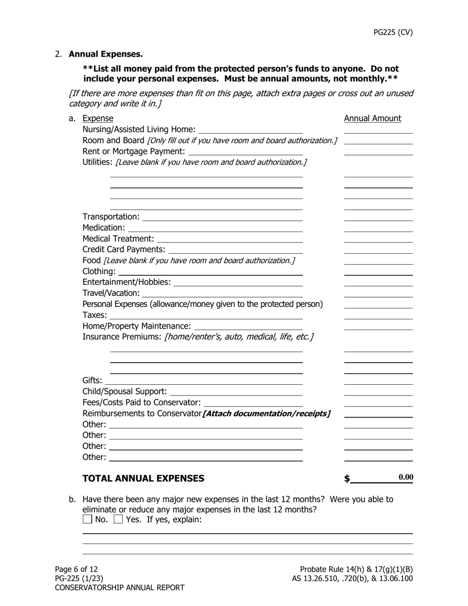 Form PG-225 Conservatorship Annual Report - Alaska, Page 7