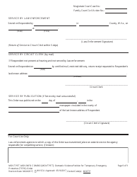 Form MDVTPET-INFO COMBO Civil Case Information Statement - Domestic Violence Cases - West Virginia, Page 9