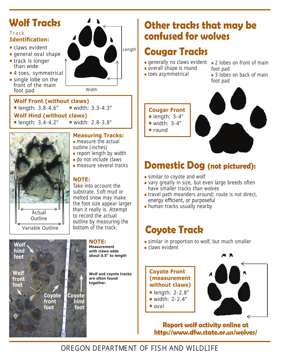 Wolf Track Identification Form - Oregon, Page 1