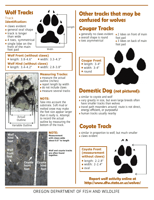 "Wolf Track Identification Form" - Oregon Download Pdf