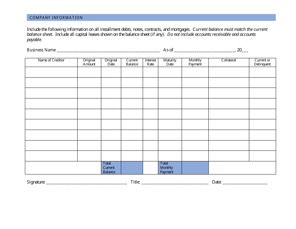 Company Debt Schedule Template - Editable Sample Preview Image