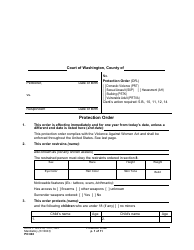 Form PO040 Protection Order - Washington