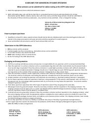 Animal Rabies Laboratory Submission Form - Illinois, Page 3