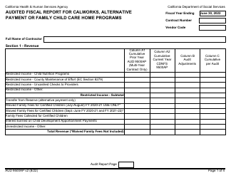 Form AUD9500AP Audited Fiscal Report for Calworks, Alternative Payment or Family Child Care Home Programs - California
