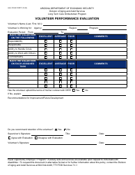 Document preview: Form AAA-1204A Volunteer Performance Evaluation - Arizona