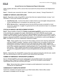 Form EQP5845 Annual Service Line Replacement Report - Michigan, Page 3