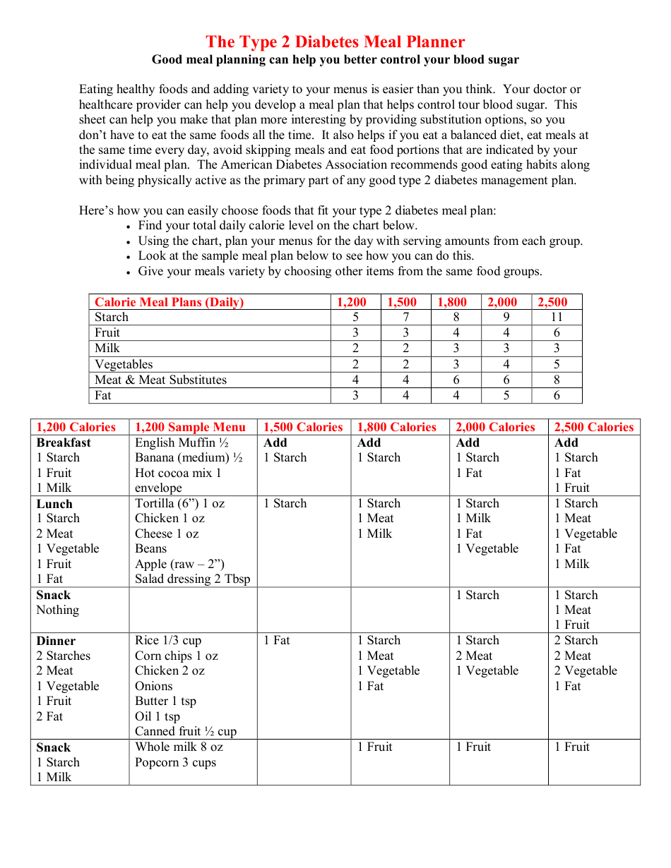 The Type 2 Diabetes Meal Planner Download Printable PDF Templateroller