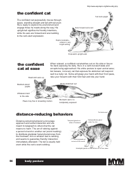 Document preview: Cat Body Language Chart