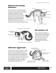 Cat Body Language Chart, Page 2