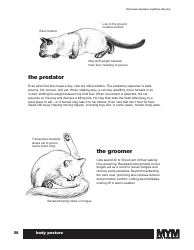 Cat Body Language Chart, Page 3
