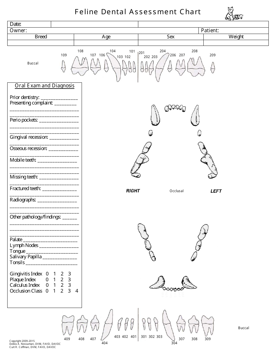 Feline Dental Assessment Chart Download Printable PDF Templateroller