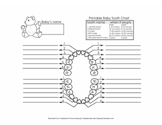 Document preview: Baby Tooth Chart - Black and White