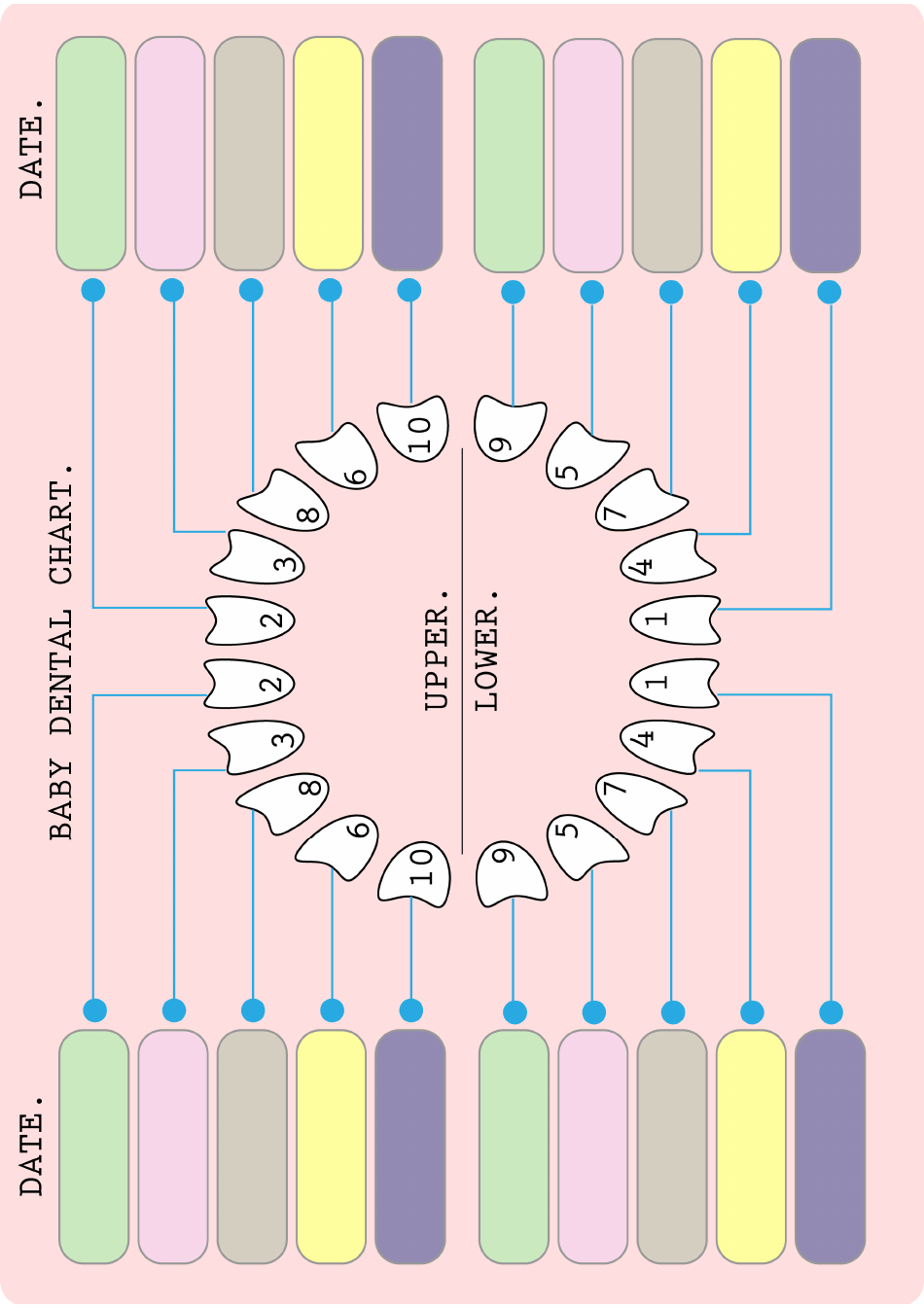 Baby Dental Chart - An Easy-to-Use Guide for Baby Teeth Development