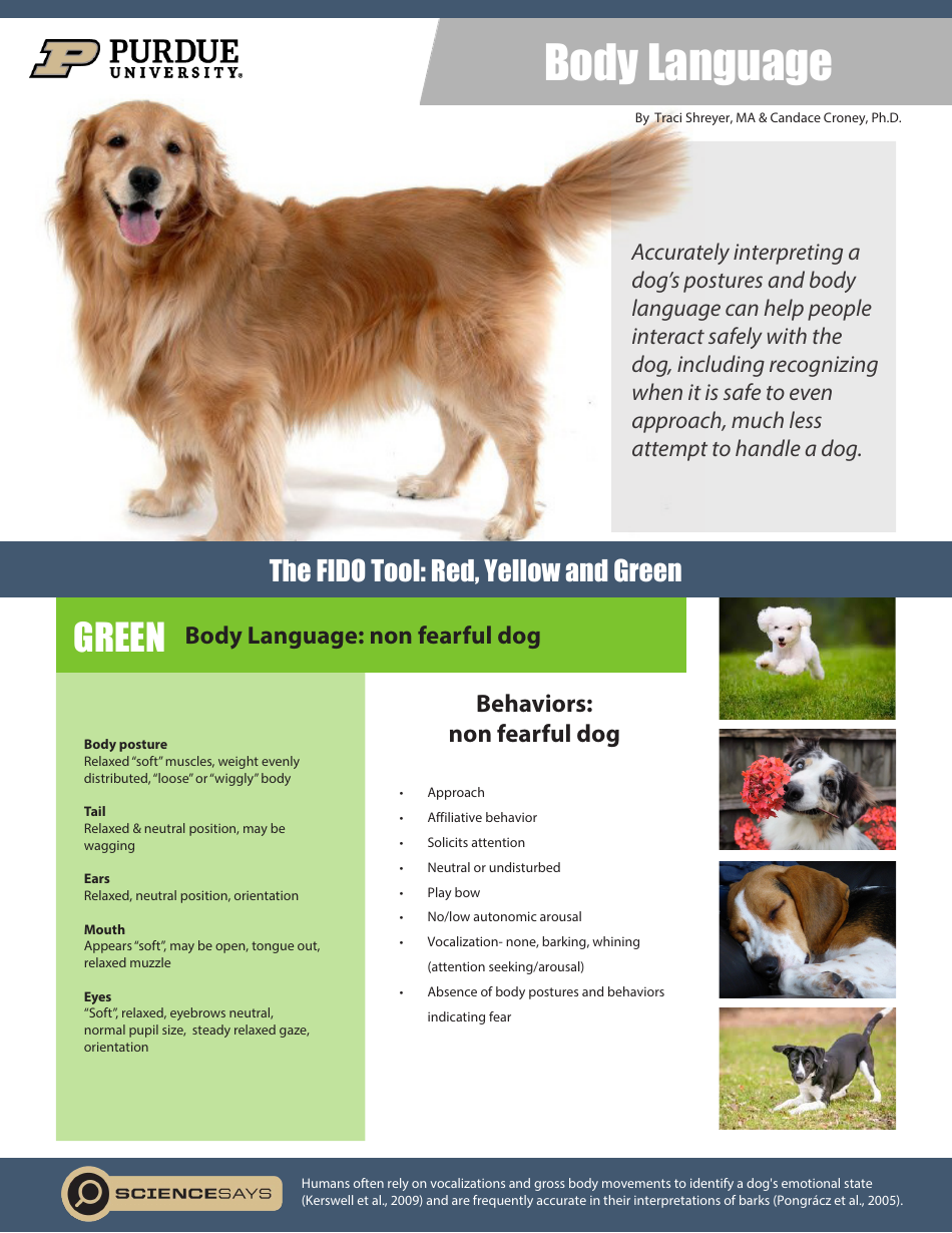 Dogs' Body Language Purdue University Download Printable PDF Templateroller