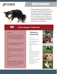 Dogs&#039; Body Language - Purdue University, Page 2