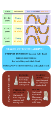 Tooth Arrival Chart, Page 2