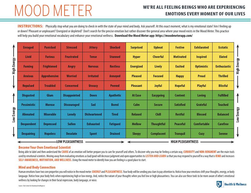 Mood Meter - Downloadable and Printable Document Preview