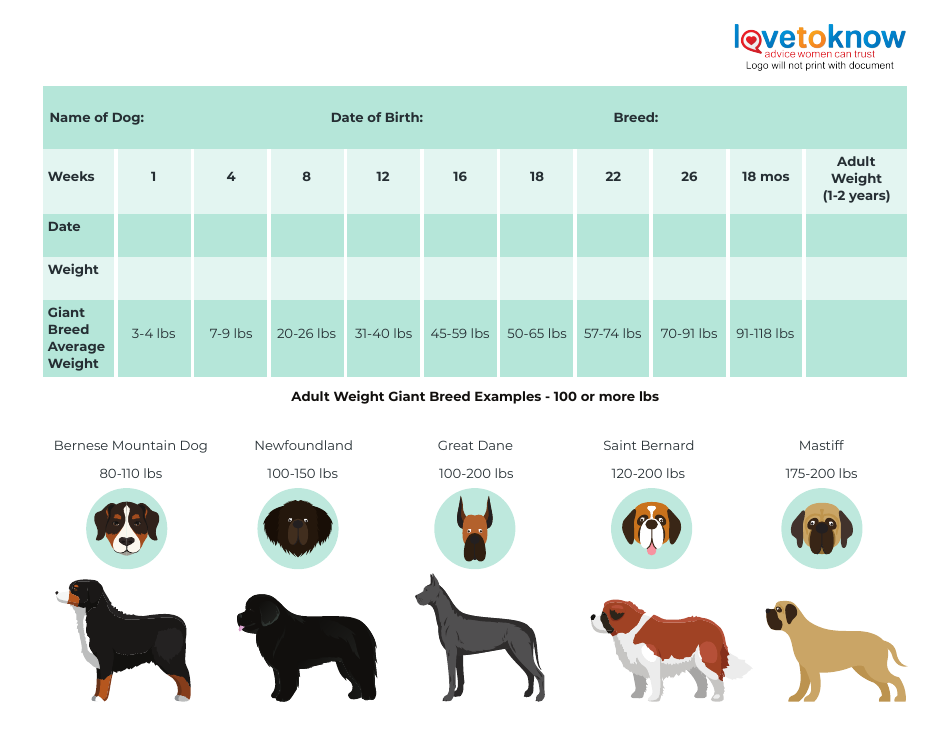 Puppy Weight Chart - Preview Image