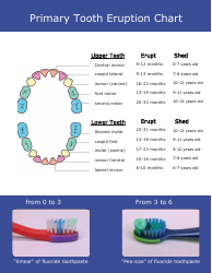 Document preview: Primary Tooth Eruption Chart
