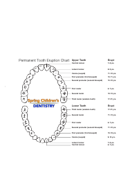 Document preview: Permanent Tooth Eruption Chart