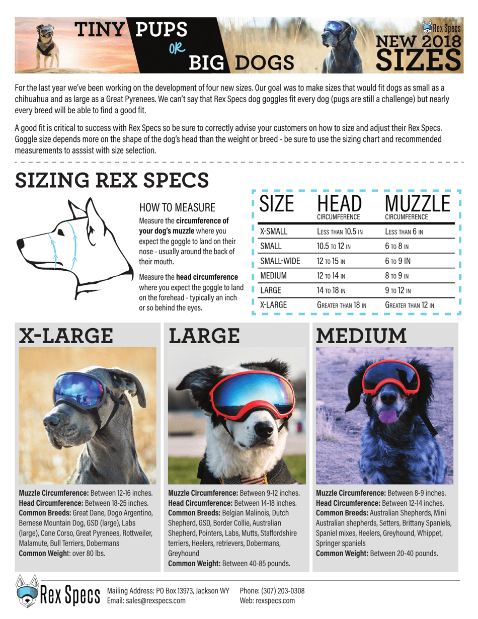 Dog Goggles Size Chart - Rex Specs Download Printable PDF | Templateroller