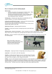 Canine Body Language, Page 2