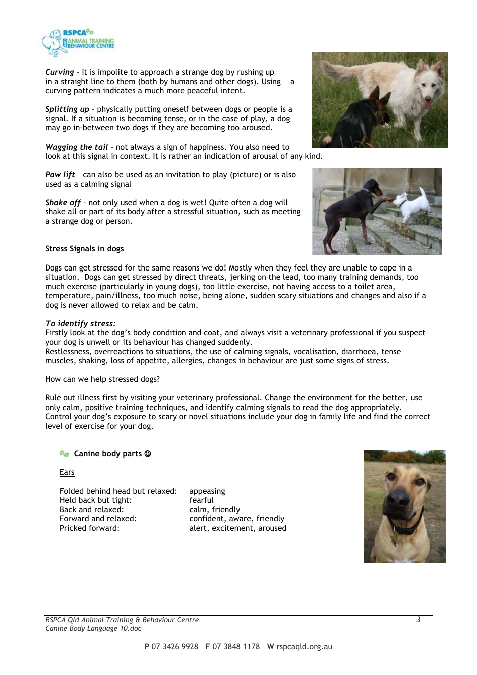 Canine Body Language, Page 3