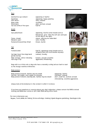 Canine Body Language, Page 4
