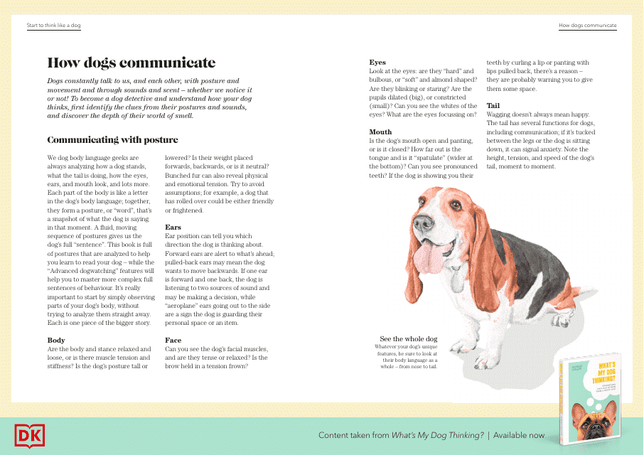 Dogs' Body Language - Image Preview