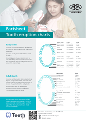 Document preview: Tooth Eruption Charts