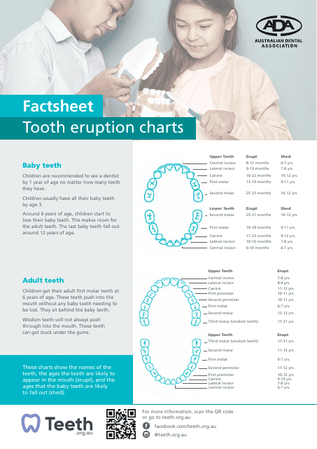 Tooth eruption charts - A visual guide to track the growth of a child's teeth.