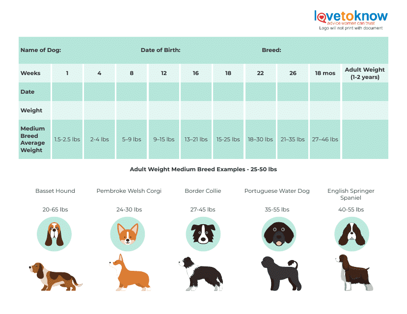 Puppy Weight Chart - Medium Breeds