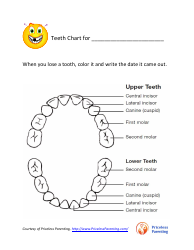 Document preview: Teeth Chart - Priceless Parenting