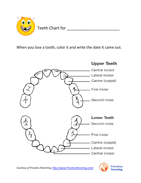 Teeth Chart - Priceless Parenting