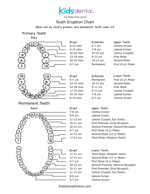 Tooth Eruption Chart - A Comprehensive Guide to Kids' Dental Development