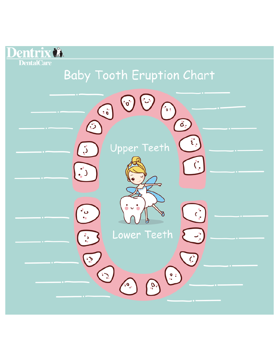 A visually appealing baby tooth eruption chart, providing information and illustrations on the sequence and timing of teeth growth in infants and toddlers.