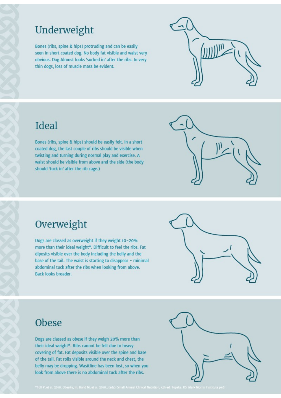 Dog Weight Chart - From Underweight to Obese Download Printable PDF ...