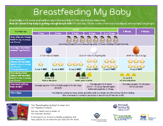 Document preview: Breastfeeding Chart