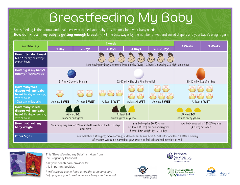 Breastfeeding Chart, Page 1