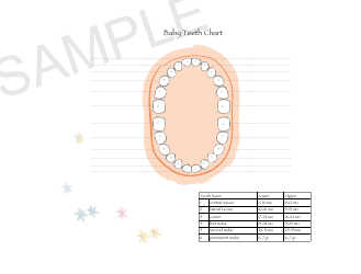 Document preview: Baby Teeth Chart