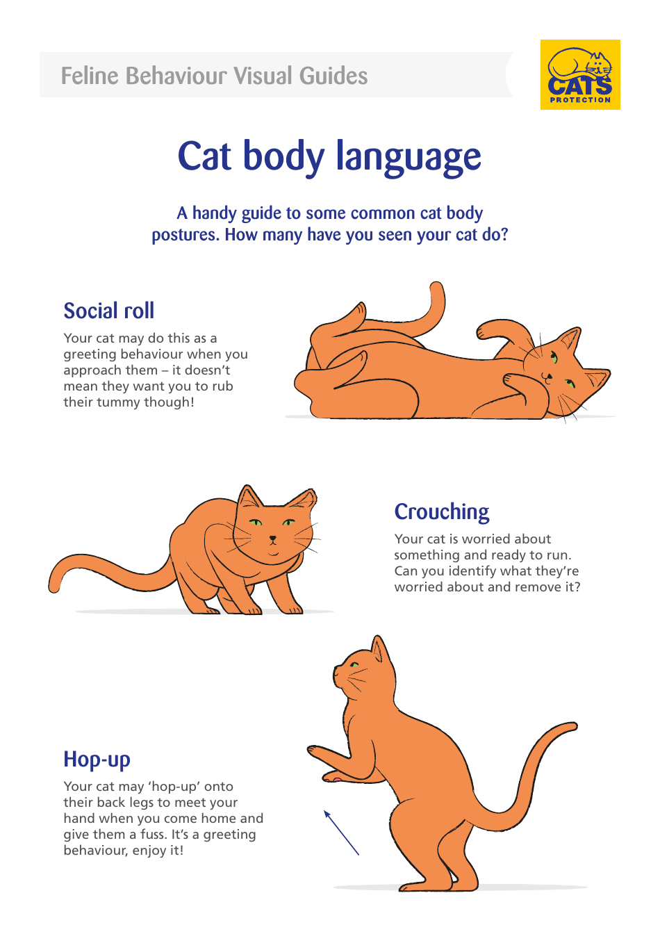 Cat Body Language Visual Guide Download Printable Pdf Templateroller