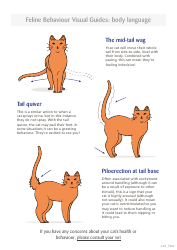 Cat Body Language Visual Guide, Page 2