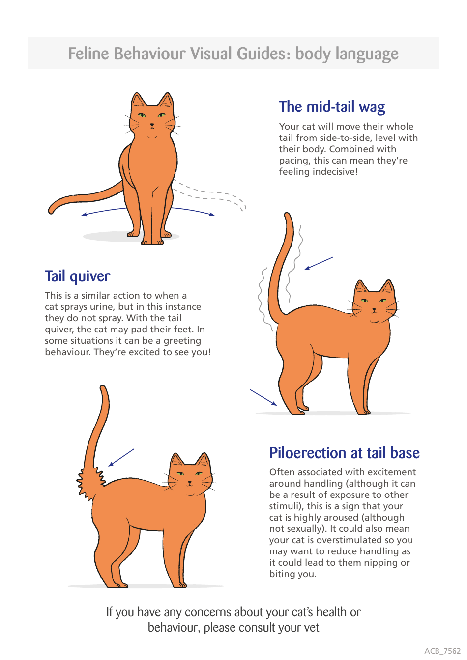 Cat Body Language Visual Guide Download Printable Pdf Templateroller